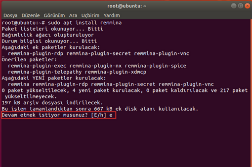 Linux'dan Windows Masaüstüne Bağlanma (Remmina)