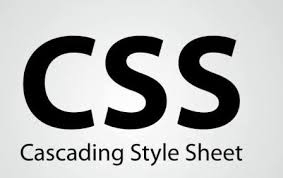 Css Referansı