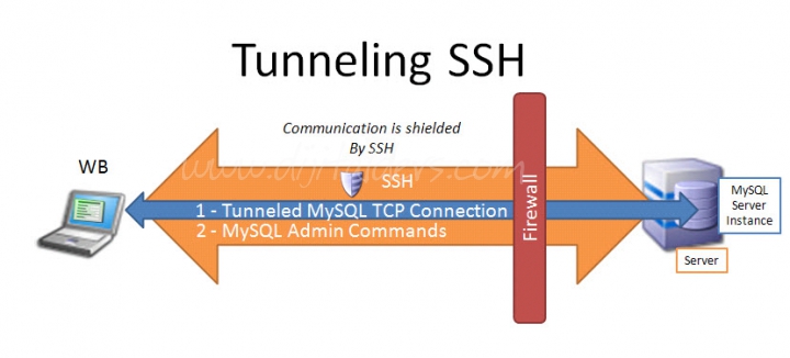 SSH komutları