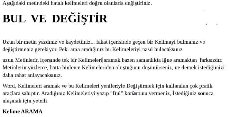 Bul ve Değiştir Uygulaması