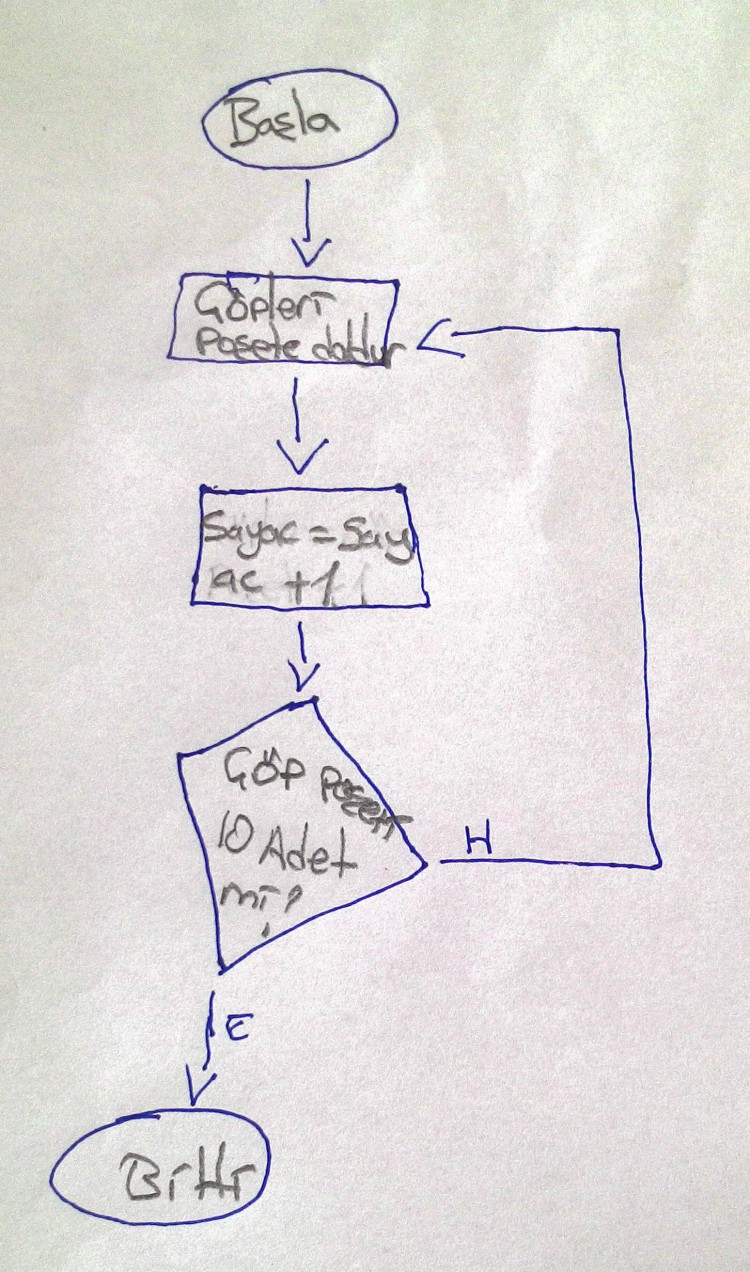 Döngüsel Akış Diagramı Algoritmaları