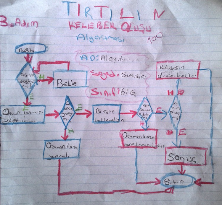 Mantıksal (Karşılaştırma İçeren) Akış Diagramları