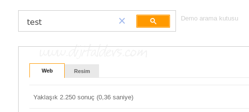 Google Site İçi Arama Motoru