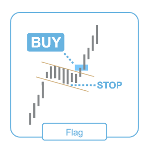 Kripto Para Grafikleri