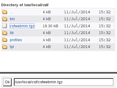 Virtualmin Üzerine CSF ve LFD Firewall Kurulumu