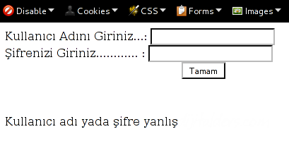 Login Uygulaması2 (Veri Tabanı Kullanmadan)