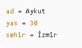 js for Döngüleri
