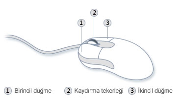 Fare Kullanma Uygulamaları