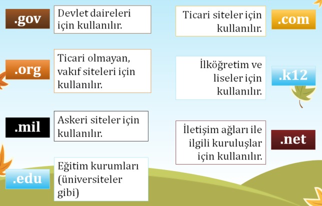 Domain (Alan Adı) Uzantıları