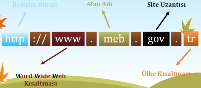 Domain (Alan Adı) Uzantıları