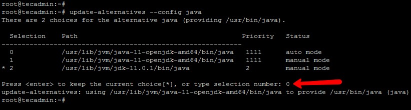 Java Debian 10'a (Buster) Nasıl Kurulur?
