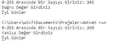 C# İstisna Yönetimi