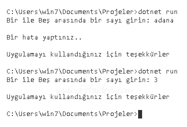 C# İstisna Yönetimi