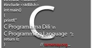 En çok hangi programlama Yazılımı Kullanılmaktadır?