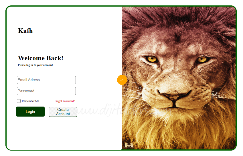 Giriş (Login) Tasarımları