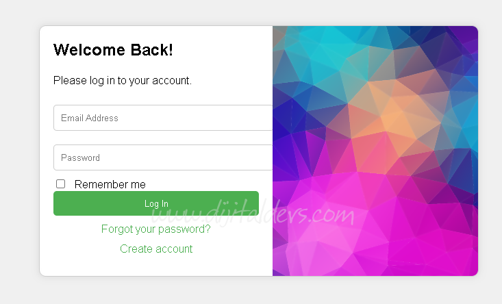 Giriş (Login) Tasarımları