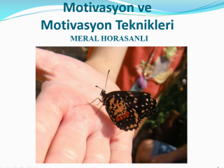 Motivasyon Teknikleri