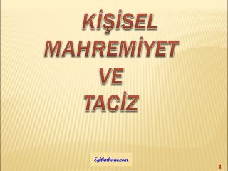 Sanal Ortamda Kişisel Mahremiyet Ve Taciz