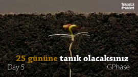 Bir Tohumun Toprağa Kök Salışı