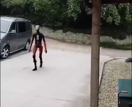 İnsansı Robotlar